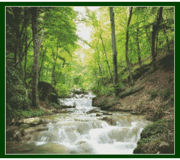 Forest Stream